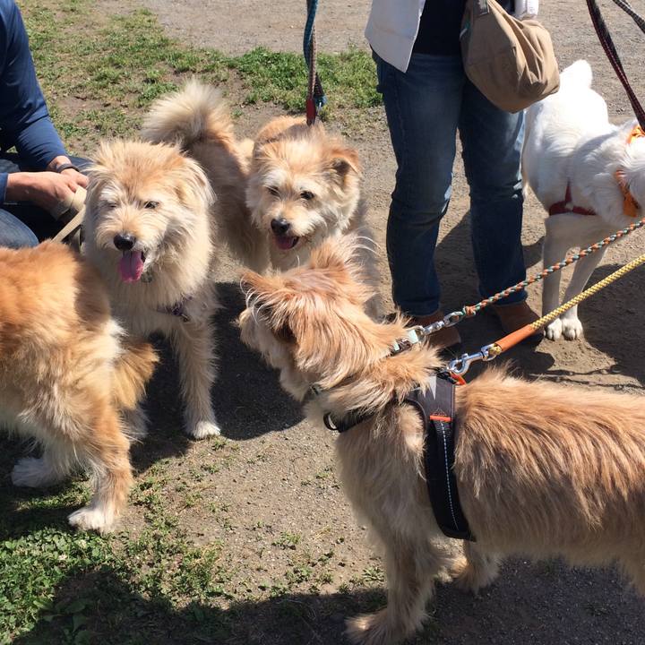 A08d89e9 41f3 47a2 a5bd 9e62942347f5