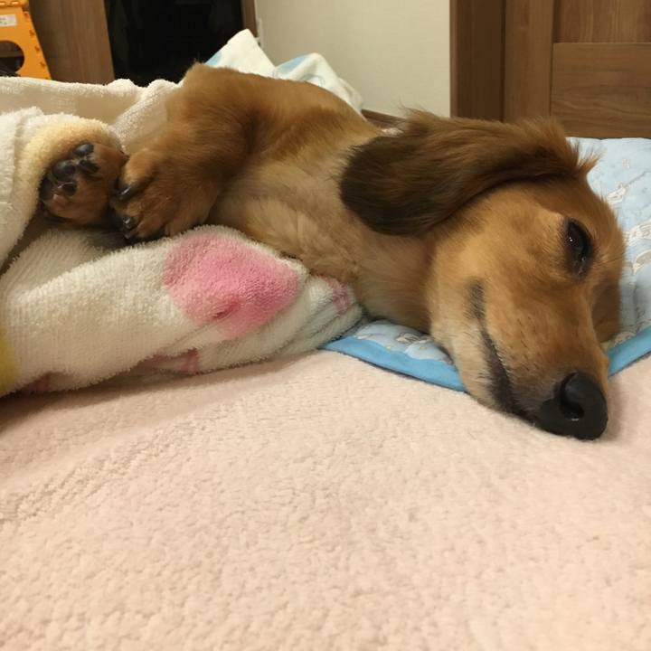 A08f1a46 98ef 4288 a6a1 702807faa4dc