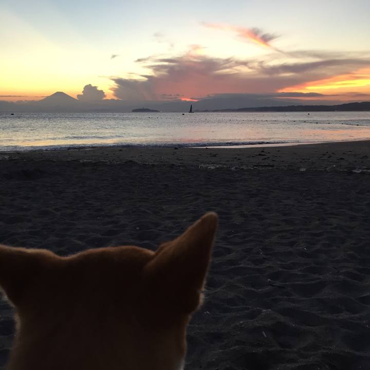 A08f3b6b d047 48bd 8408 6afb8cc7be7f