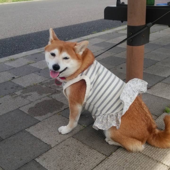 A08f6ca4 f123 4392 8140 de8d17c0e622