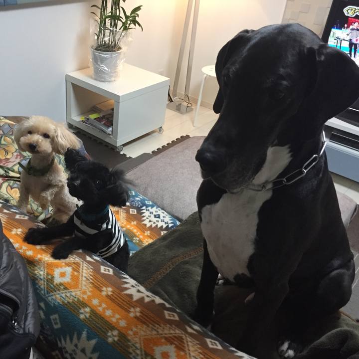 A08feb92 b7d5 458c b941 95362d1355e3