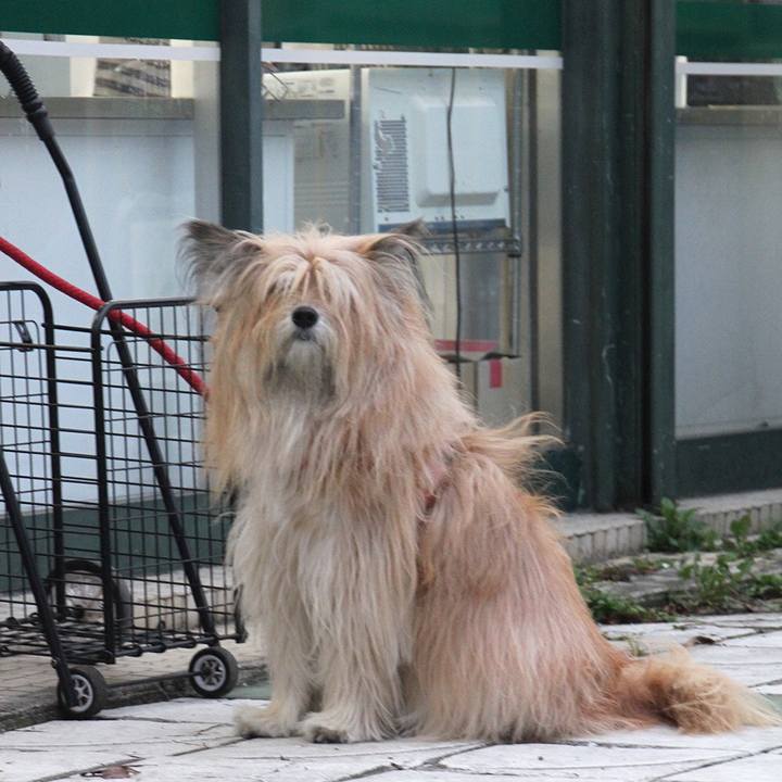 A08ff276 bd7e 4de5 9344 bfa1d34d3263