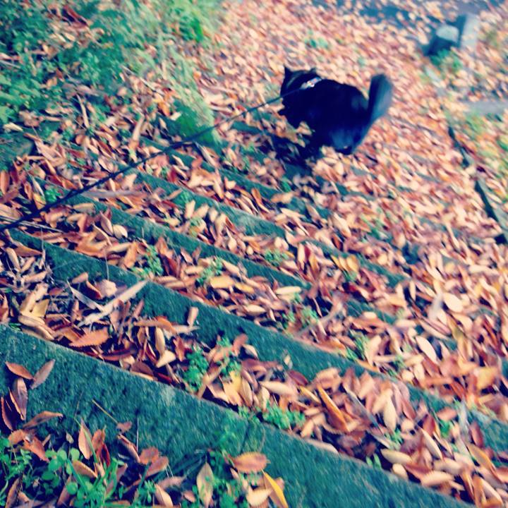 A09021d7 7128 4117 83b0 024a2e78ab8a