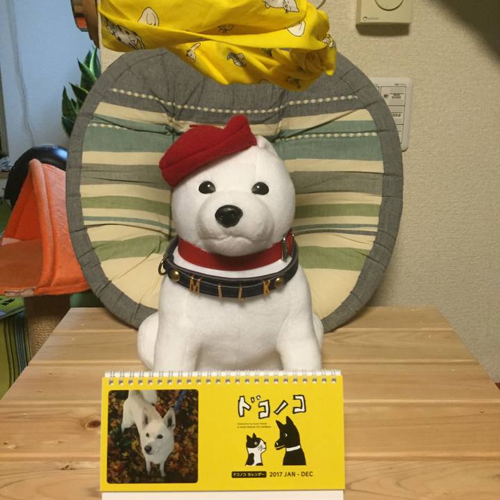 A090286e fef7 42dc 8a47 69701df15058