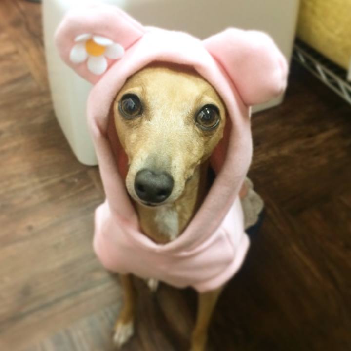 A090d67f 7c7d 4a29 89e1 72da84ec0b87