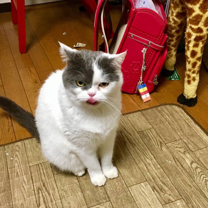 A090d8e2 0876 4845 9cb6 8823b756576f