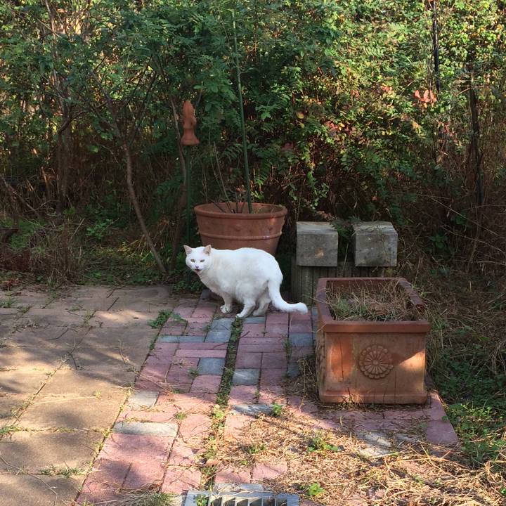 A090df19 1bd4 439b a67b 1c2955b2de6e