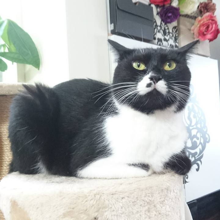 A0917d99 af5c 42ec 8d8b 8f007b1253d4