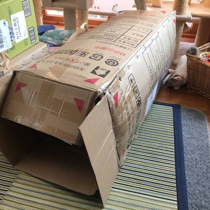 A091b2ff a0cd 4b92 96fc d2a2445ff4ac