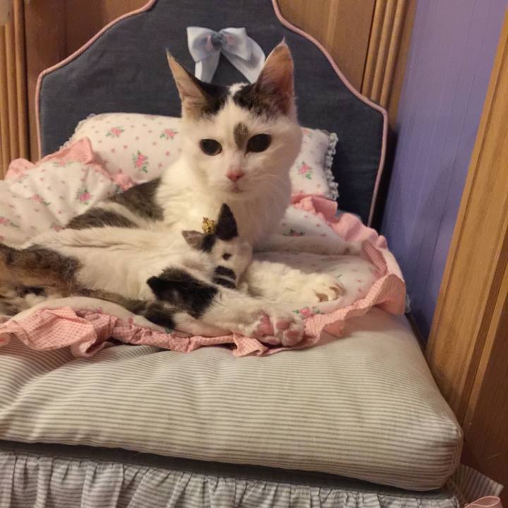 A091bd55 4f1f 464d ae76 08b7483dca09