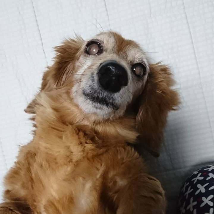 A091f2a4 513e 4796 9981 cd6209d0b27f