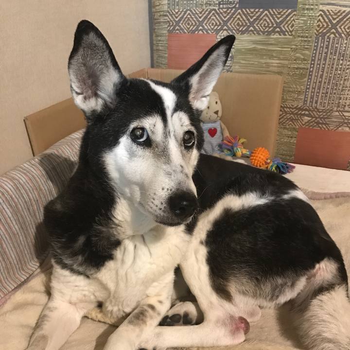 A092ac6b 07fe 4548 bb65 57188d7b266b