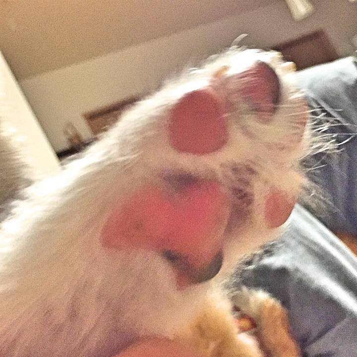 A092d48a 6307 4418 9945 06196d5a7ab2