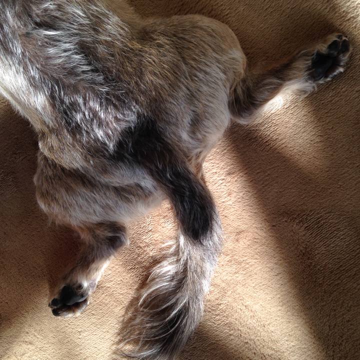 A09412ac 05ba 43ad ba25 caa68eb8e572