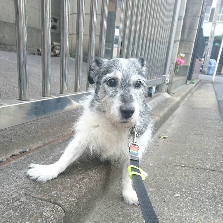 A094409c 0ec8 46da 940c 172c5d351226