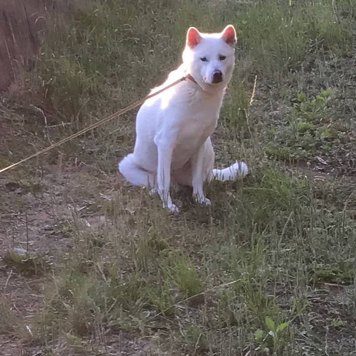 A09444ad 1be9 4488 bade 78cca0f802fc