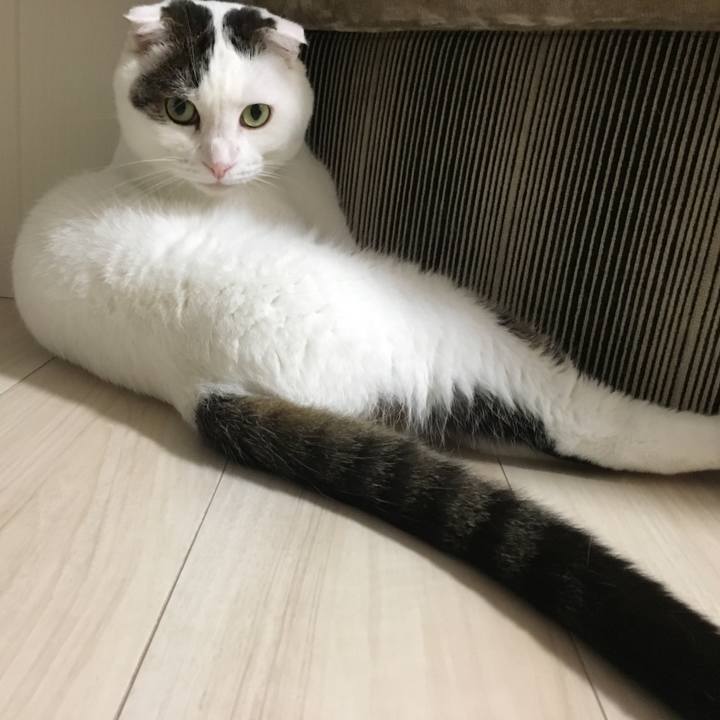 A09447bb 3ea5 43d9 8c0d e1fc266eff2f