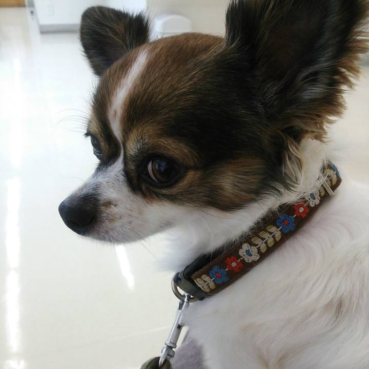 A09449fc 1d3b 4fd5 9ff3 976b90b182a4