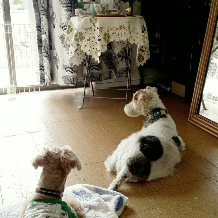 A0948d9f cfbe 4e6c b8d8 a24073900cb5