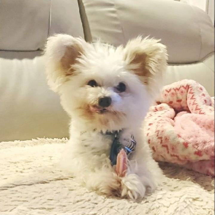 A094d832 5377 4b11 9ca9 0421df23dc59