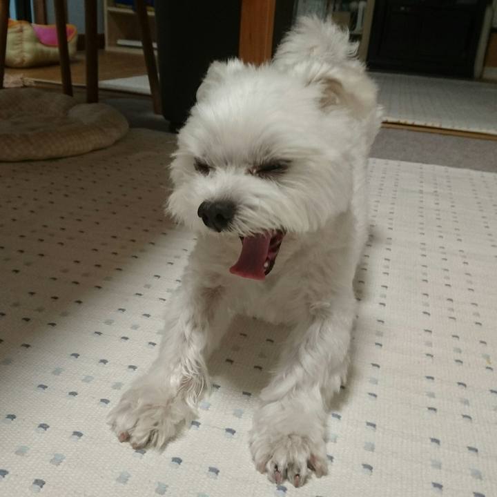 A094e3c5 be3d 40b9 9455 0c6582399c8f