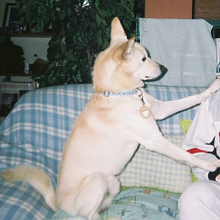 A094f30d d04b 4b34 afc8 ae5f7232bd71