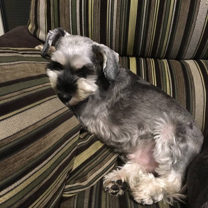 A094fd20 39a5 433b a87b 7d7440c5b4c7