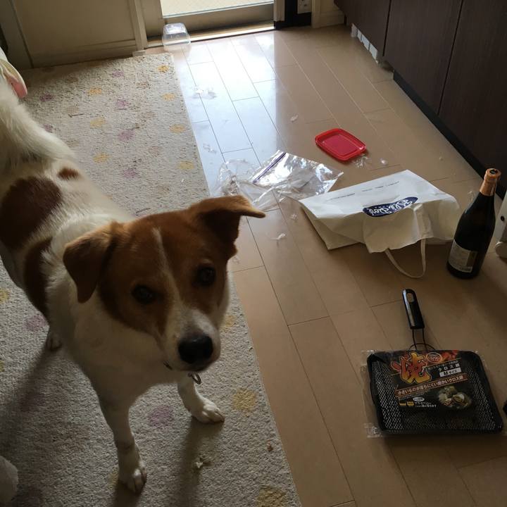 A095366a ccb7 4267 ae8e 41c27a831ac4