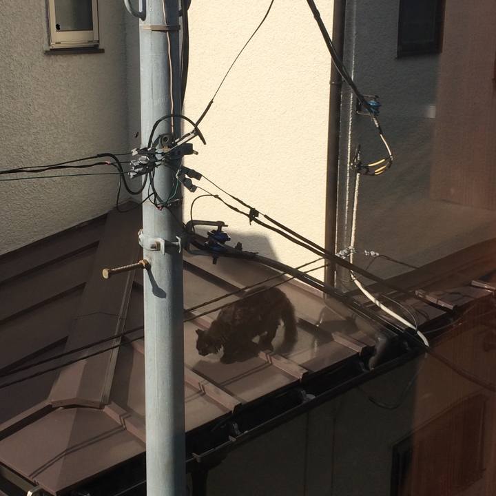 A095aa9c 102d 4132 abc6 5c019f088ee9