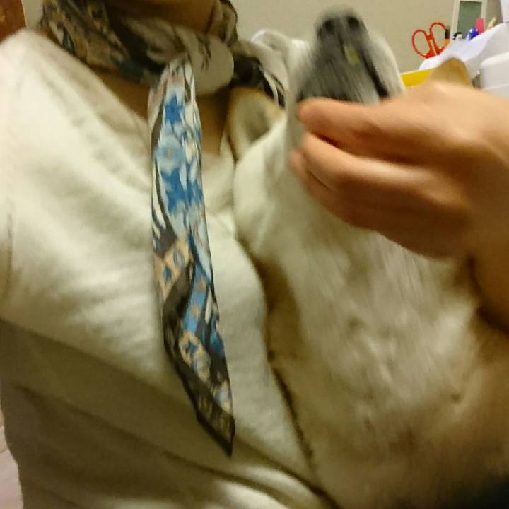 A097088f a6b1 4490 bf26 2b35c133d60d