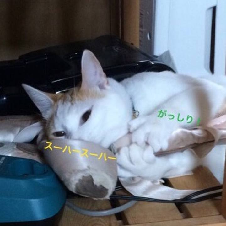 A0979d0a 9f5c 4527 aa8b b3bbf3f6f8b7