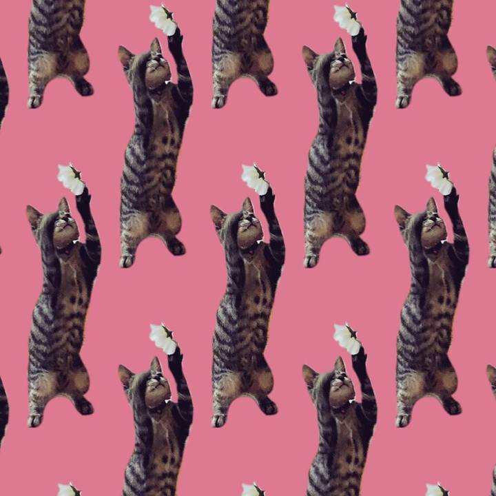 A097e438 c2e9 4ade a853 a4e00b5c0de2