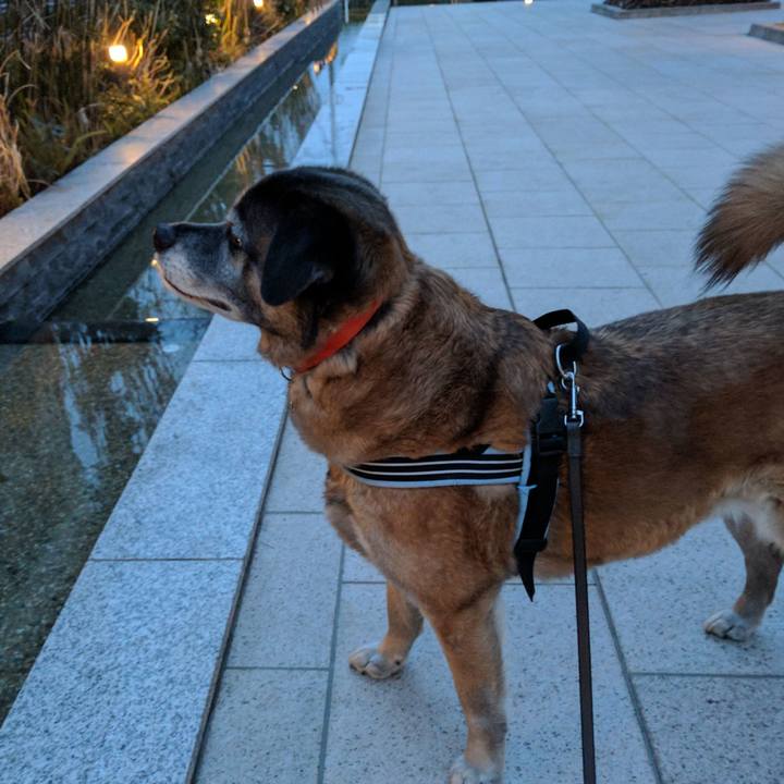 A097fa41 e44e 4439 b7cc e268efa8be73