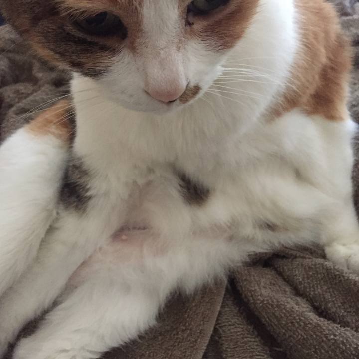 A09841dd f2af 42c9 b54d e93c6673adf8