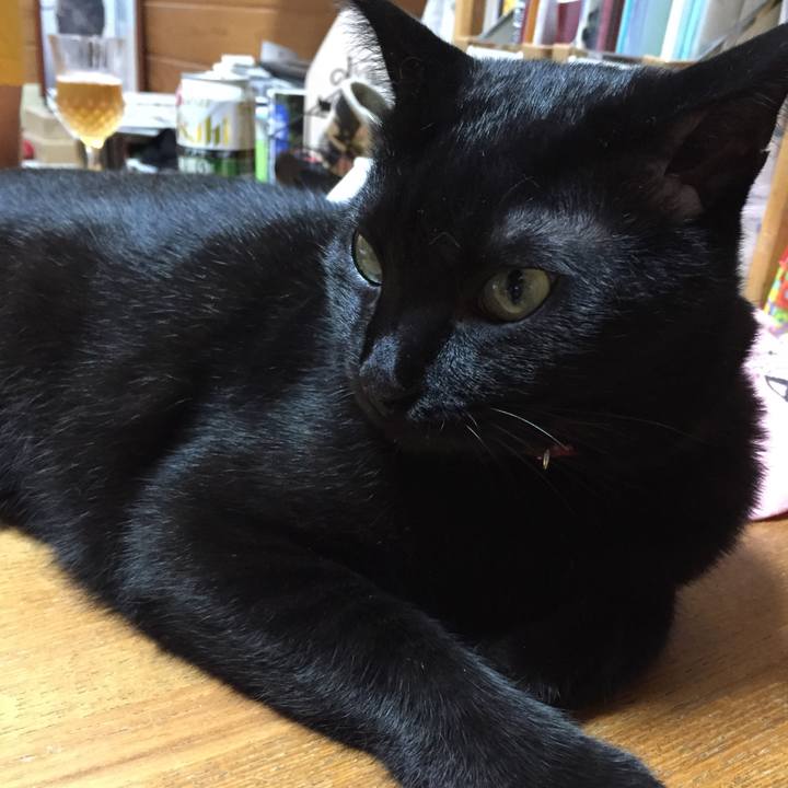 A0989f93 0b2e 439d 814d bc3b06a91106