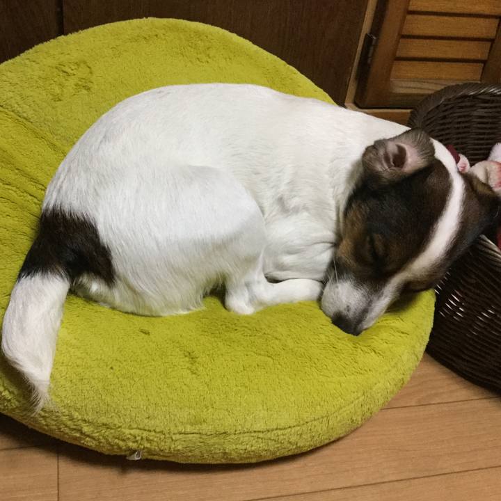 A099b998 38df 4e35 b45c 66692a44faa0