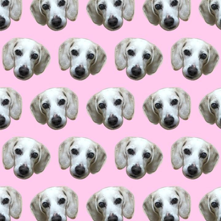 A09a0773 8a27 49f7 8b15 c2541f6fe248