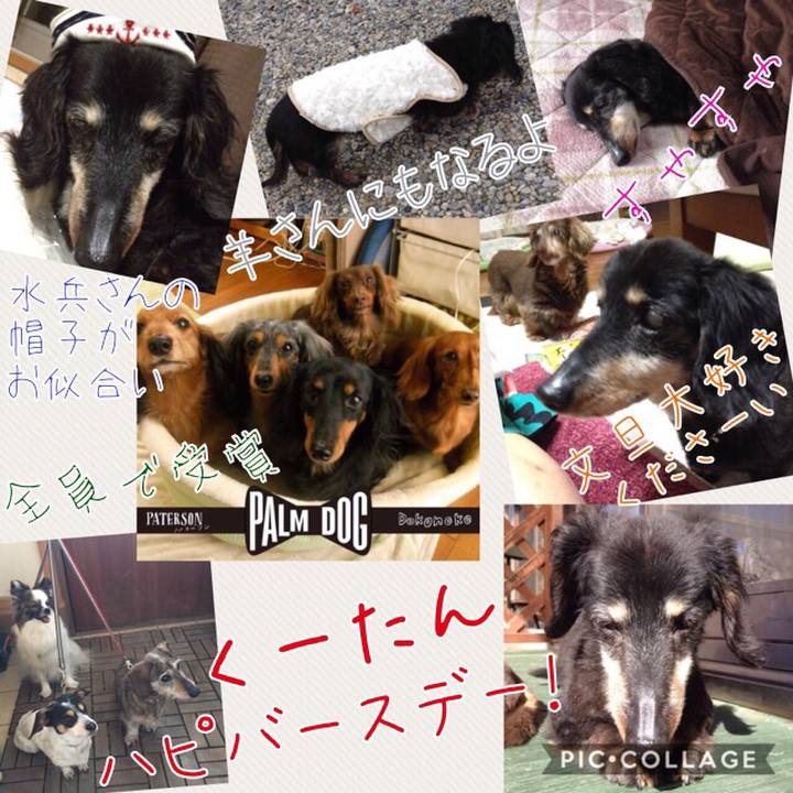 A09a2eaa ca62 4e81 a91f 1e2b59829e3b