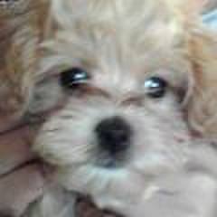 A09ad5e1 47ec 40b8 83fa f716f4b13dea