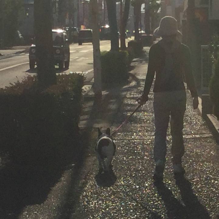 A09b2e15 5272 4aaa a048 2beee61e53a8