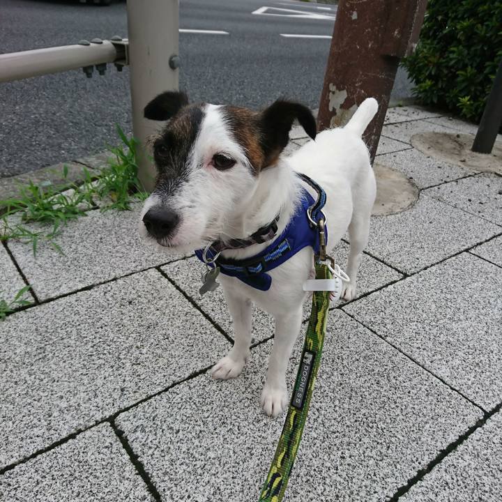 A09b536a 9361 44a6 b462 fab4e424088e