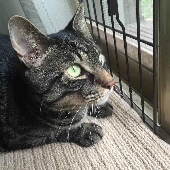 A09b7641 7d4e 432e bb2b 417b9a26e6cf