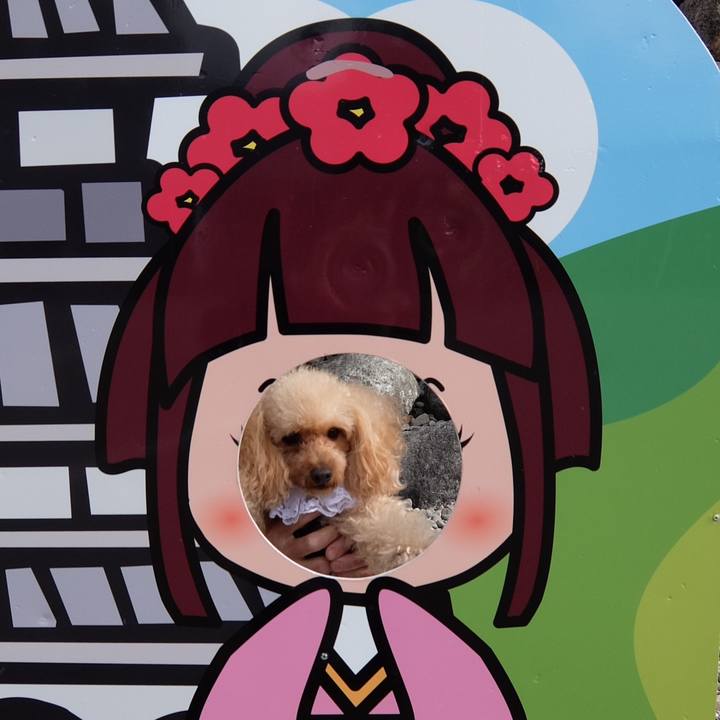 A09c111c 500d 4526 b275 0ab9d9714e3b