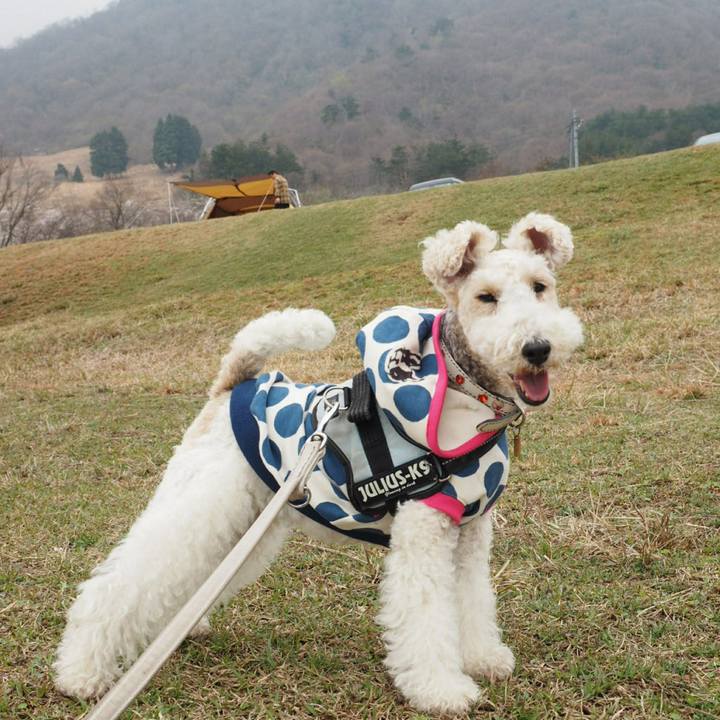 A09c2eb2 5542 494d 9eef e154b1571089