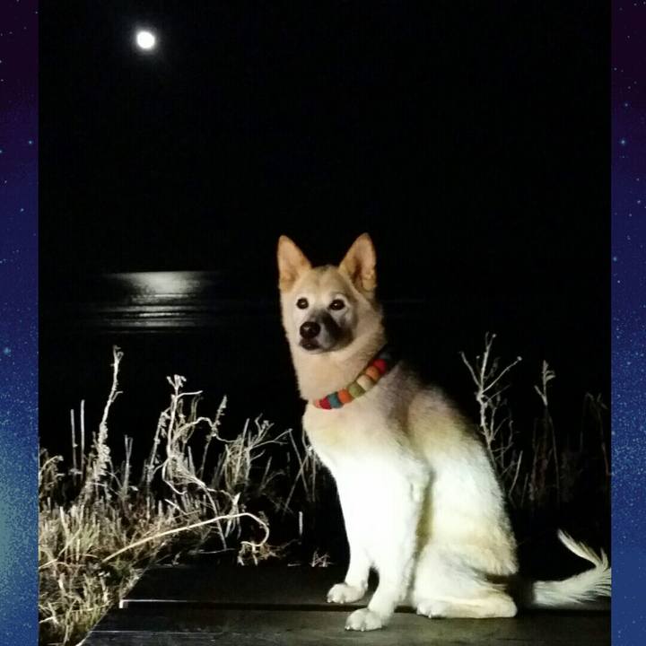 A09c7adc 888e 406d ae1b 1ebb847ae5ac