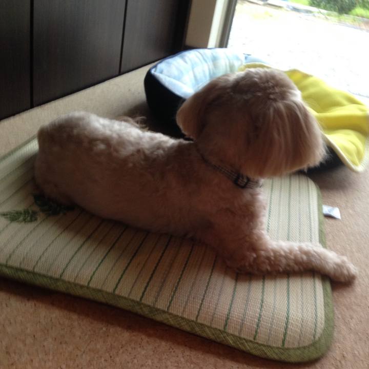 A09c7feb 1e64 40c5 9e59 1bcd2b66b8f4