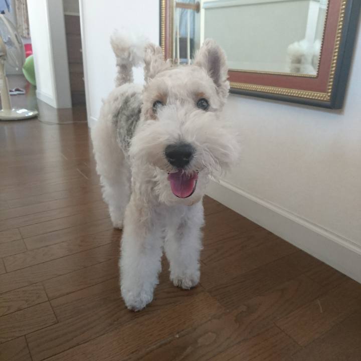 A09c9071 e7bc 4505 88c9 db1fce5526f5