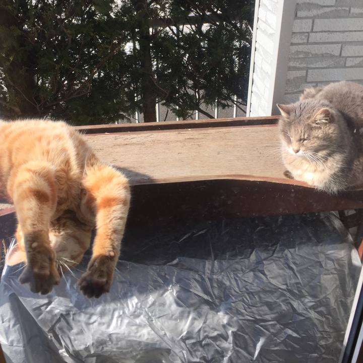 A09d42da 471d 47dc a6ef a22b321f0351