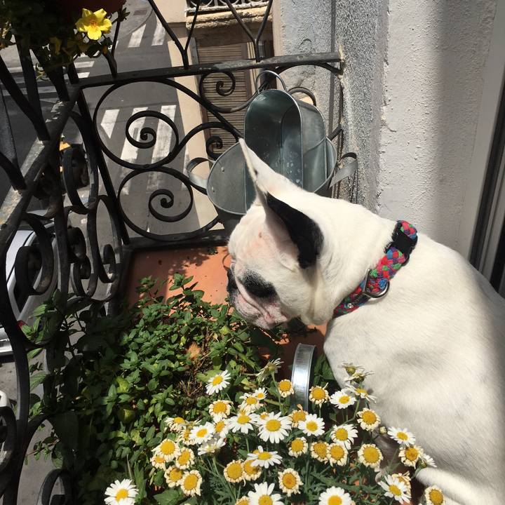 A09e35e6 89f1 4509 a5e1 42ccb8af598f