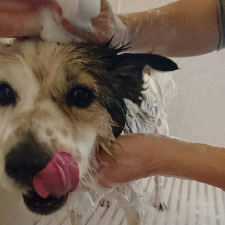 A09eec8d 68ea 43ea a490 7f8cbe602784